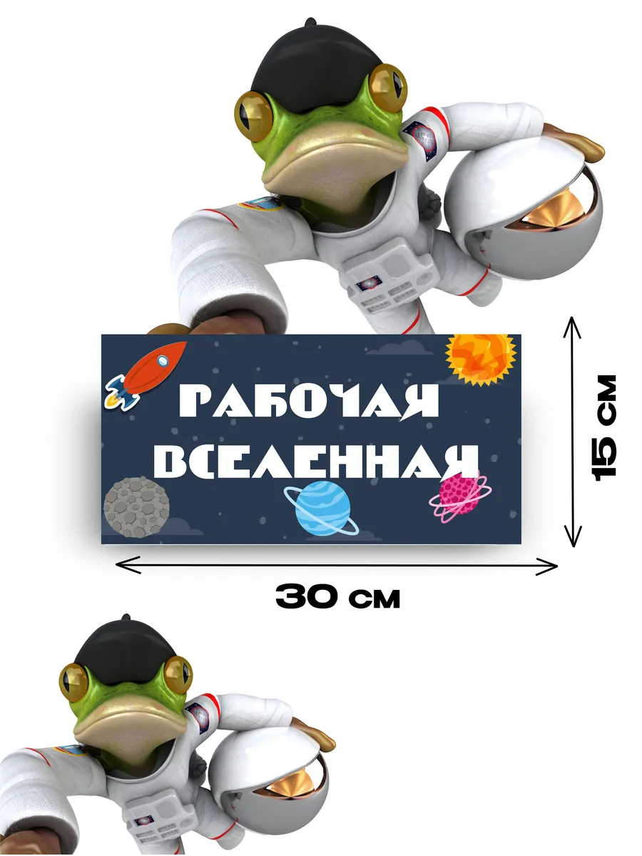 Табличка на дверь «рабочая вселенная» 30х15 — фото 3