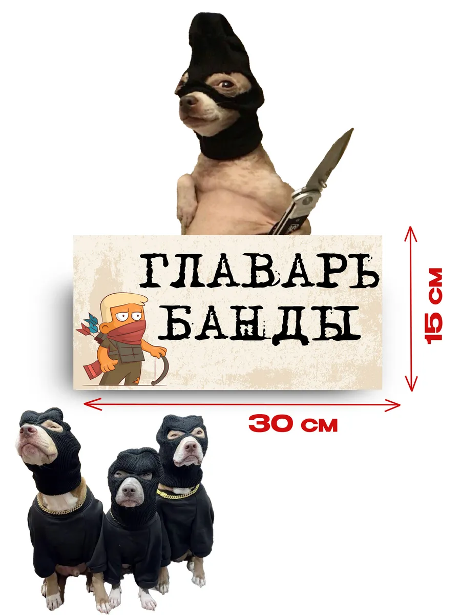 Табличка на дверь «главарь банды» 30х15 — фото 3