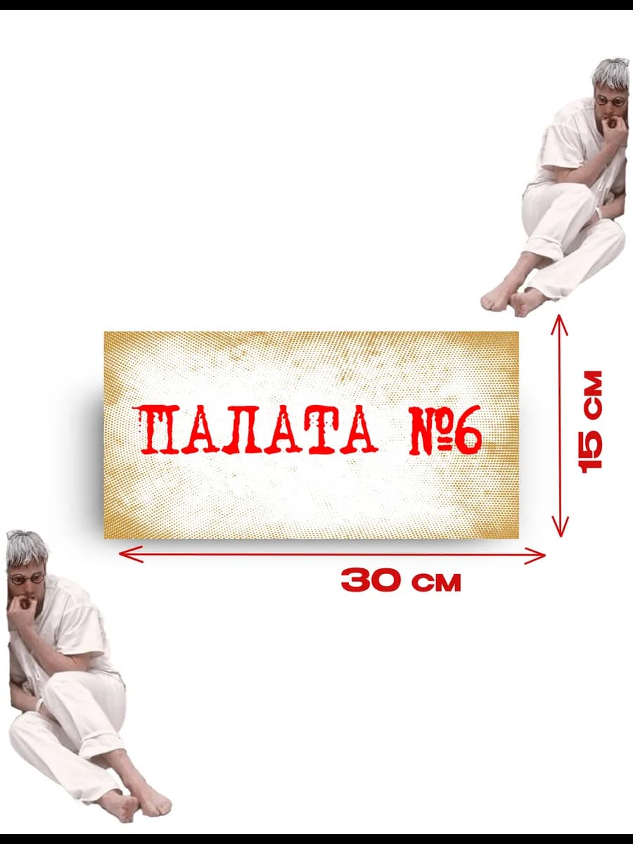 Табличка на дверь «палата №6» 30х15 см — фото 3