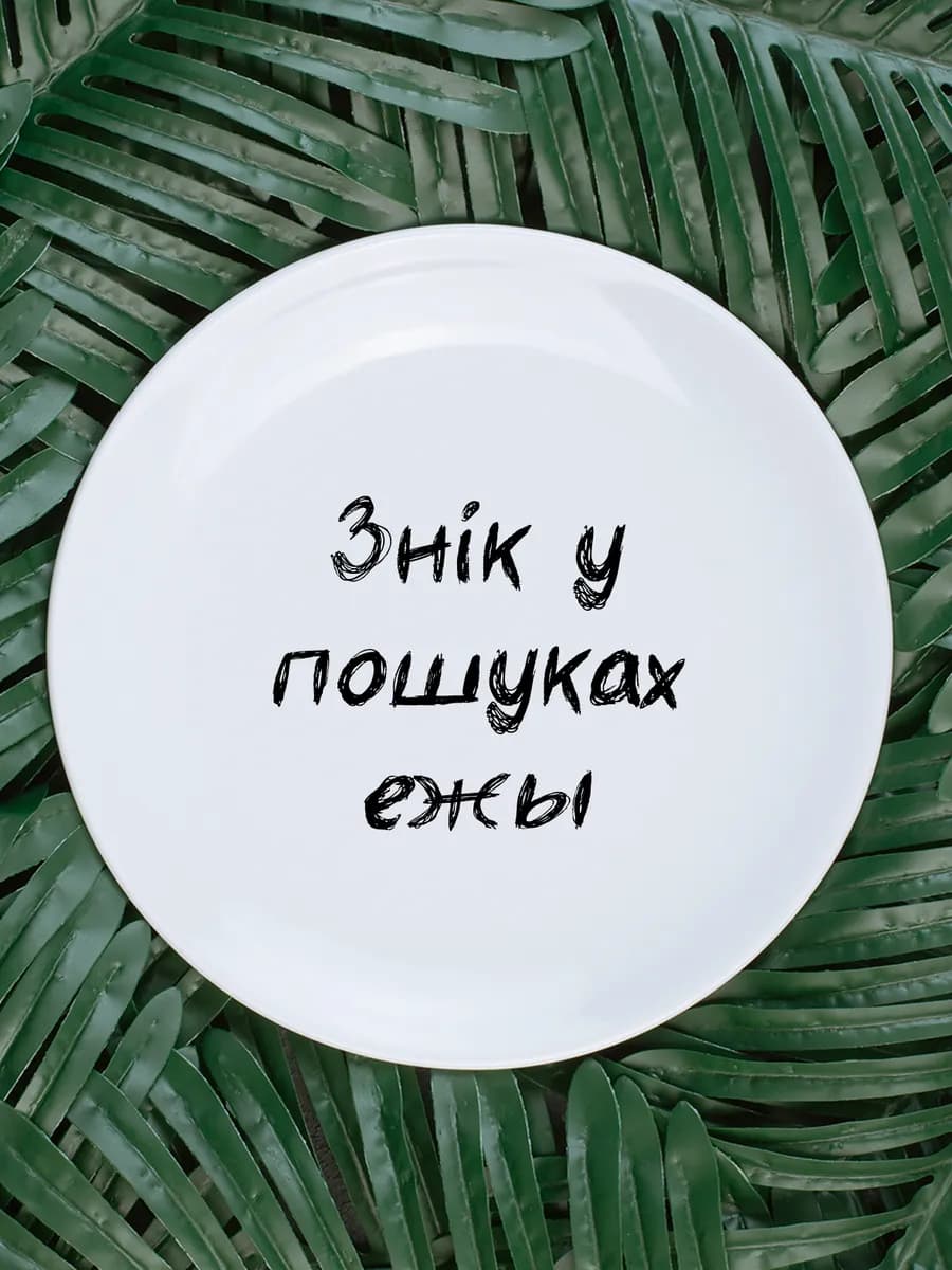 Тарелка «знік у пошуках ежы» белорусы 20 см — фото 1