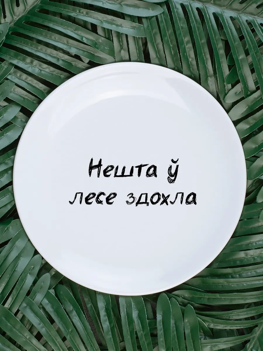 Тарелка «нешта ў лесе» белорусы говорят 20 см — фото 1
