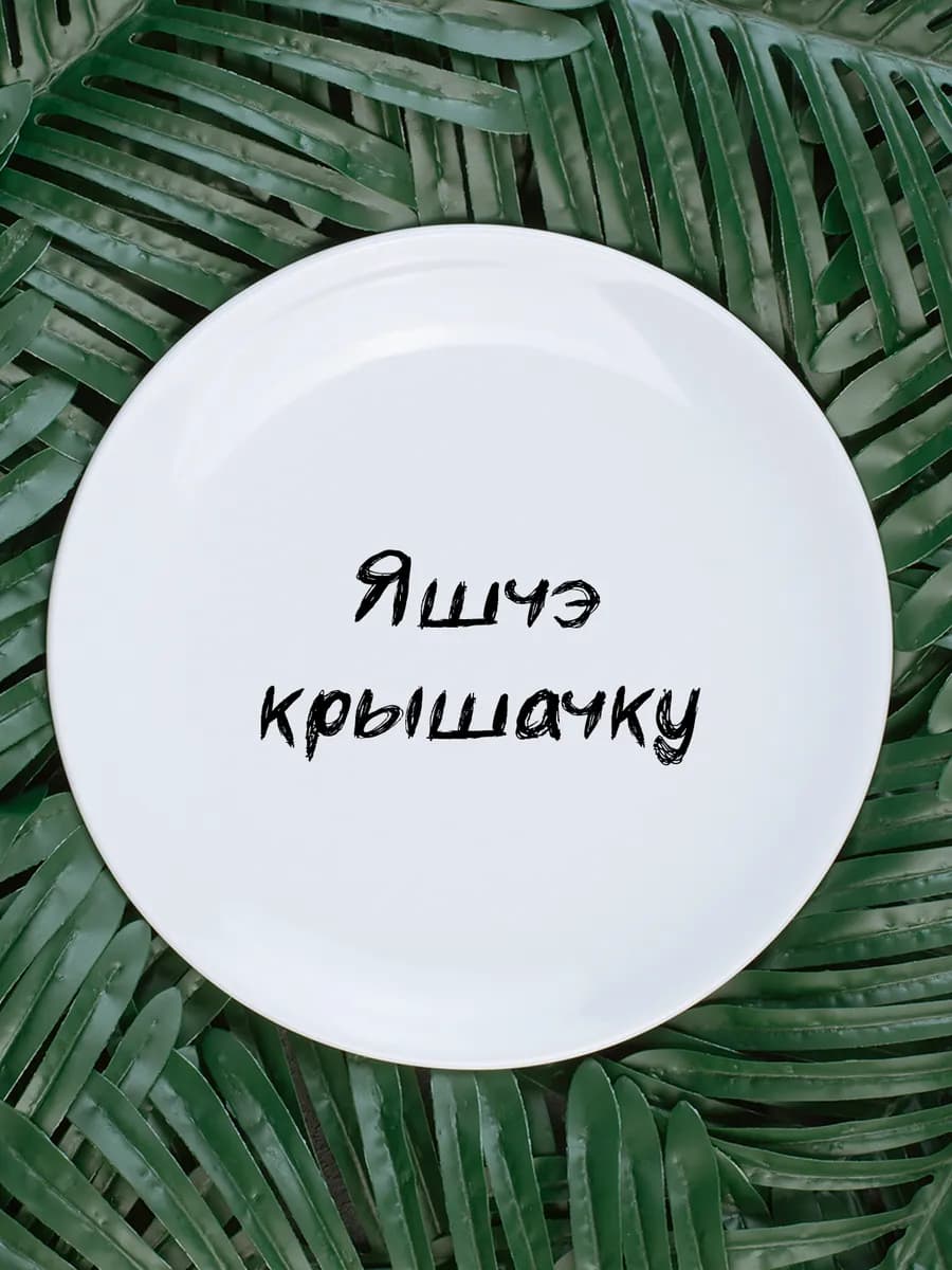 Тарелка «яшчэ крышачку» белорусы говорят 20 см — фото 1
